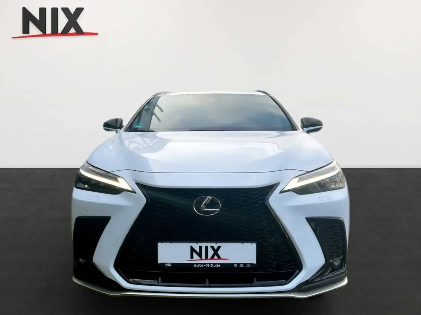 NX 450h+ E-FOUR F SPORT PANORAMADACH