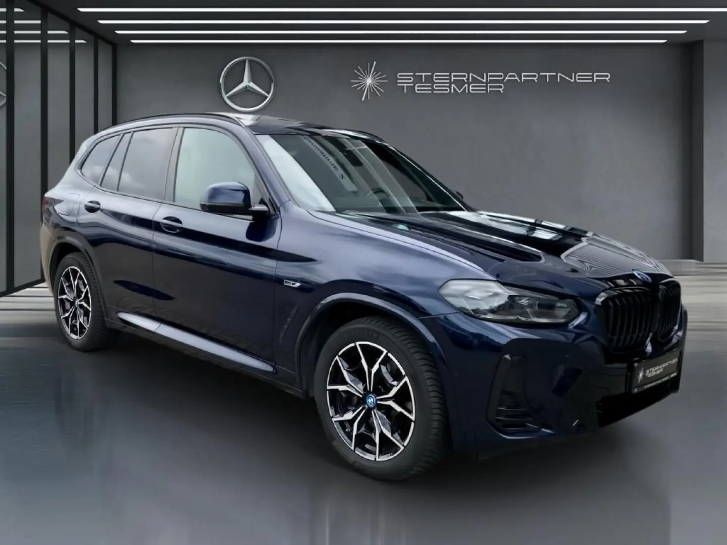 X3 xDrive30e M Sport  PANO Ad-LED 360° ACC HiFi