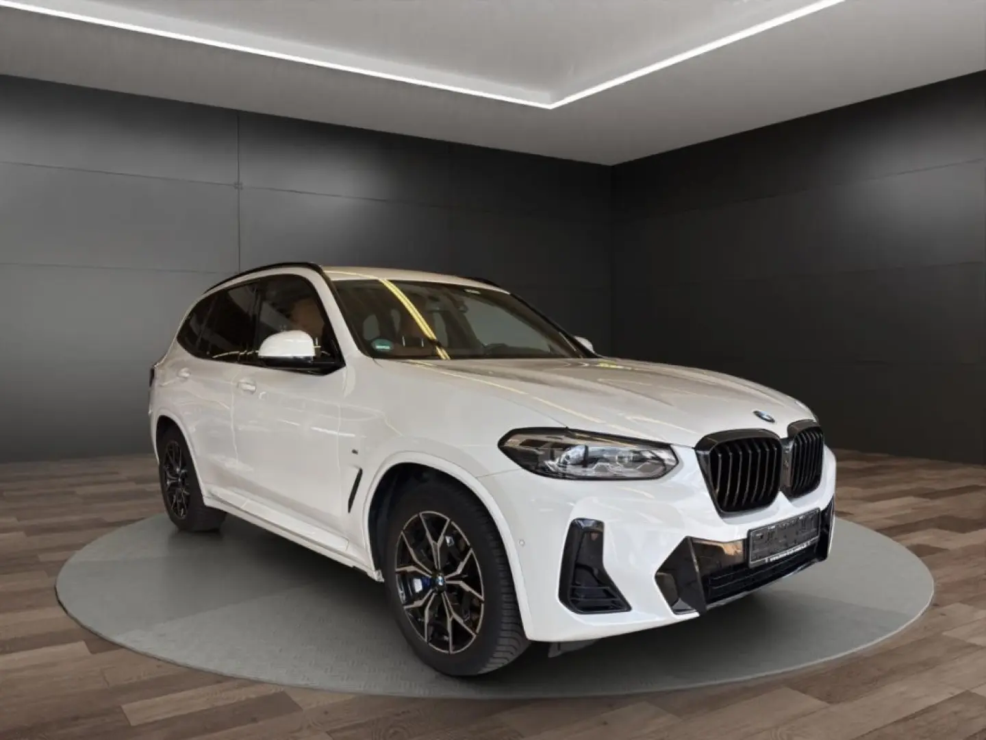 X3 xDrive20i+M-Sportpaket+Park-Assistent+HiFi+