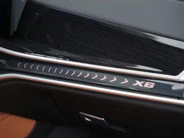 X6 xDrive30d M SPORT-LUFTF-PANO-22M-COGNAC