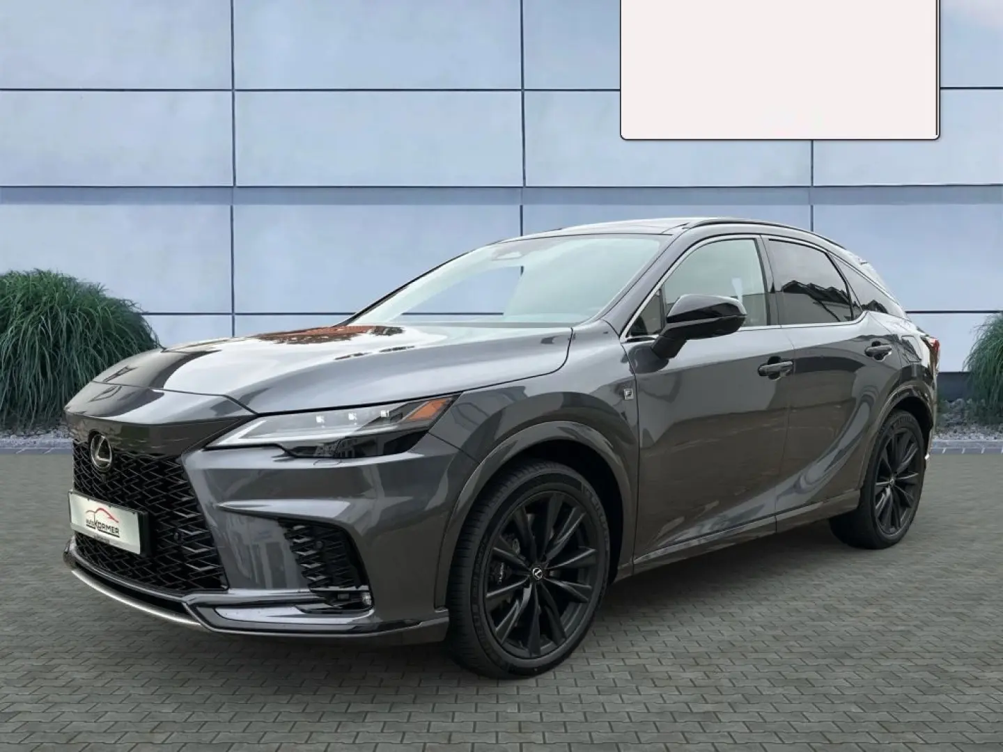 Lexus RX 500 h F SPORT+ Interieur-Pak,MarkLevins