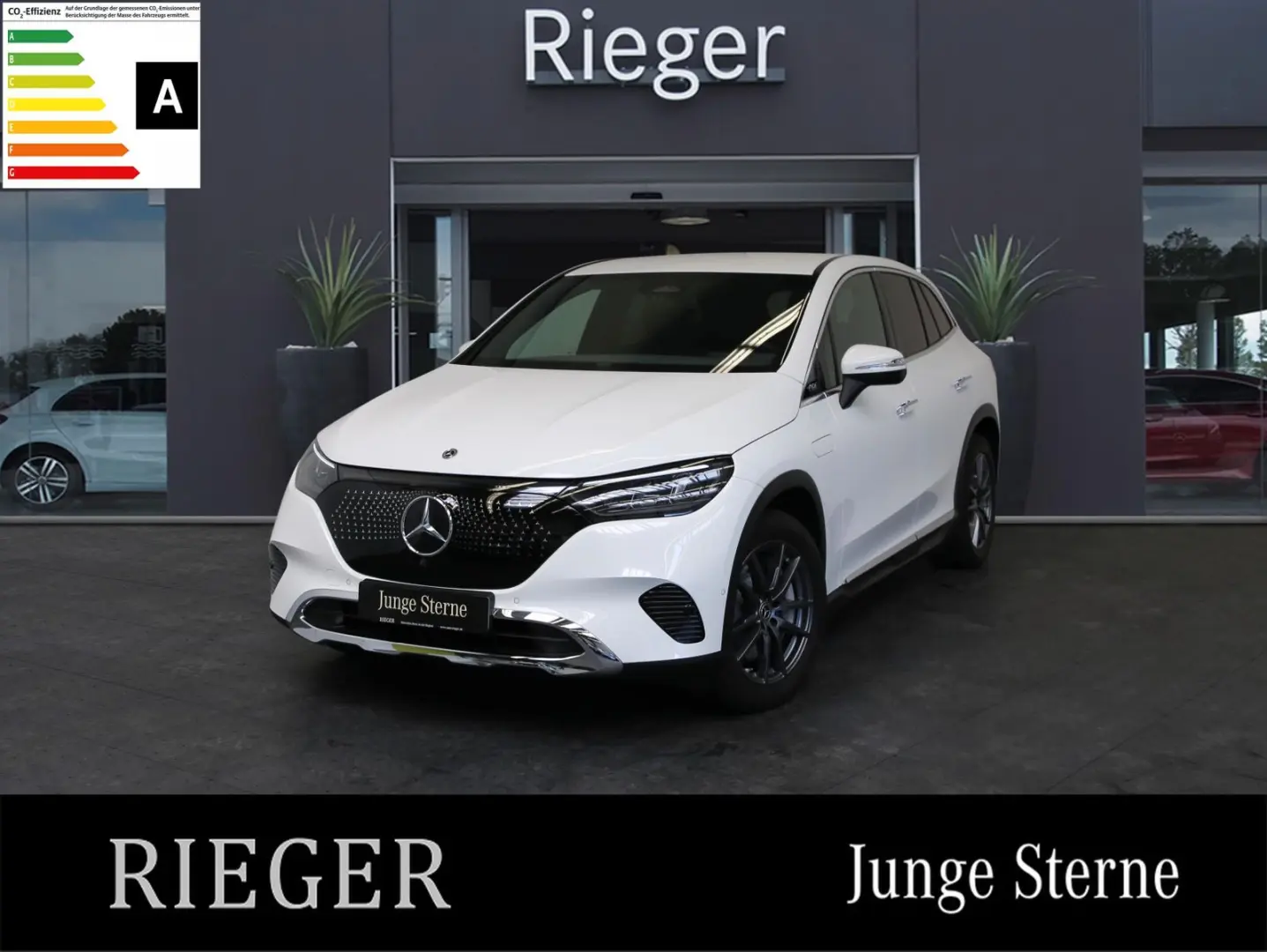 EQE 300 SUV Electric Art MEMORY*SHZ*Totwinkel*++