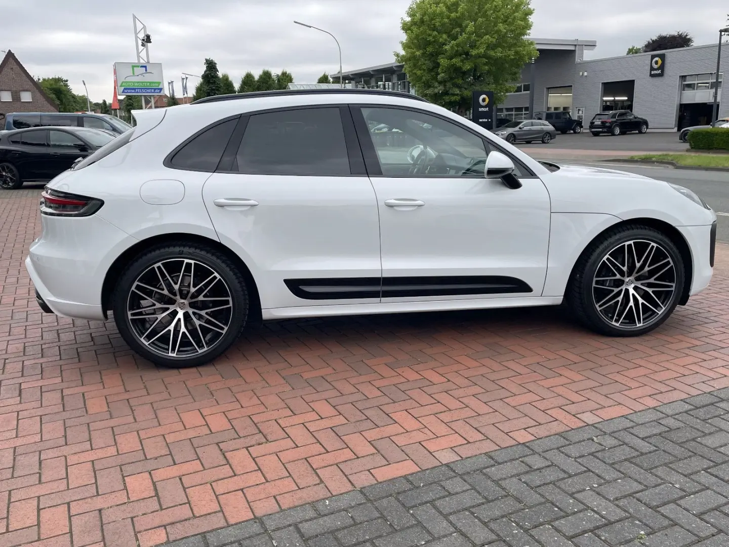 Macan *21