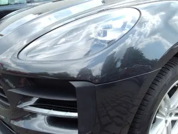 Macan