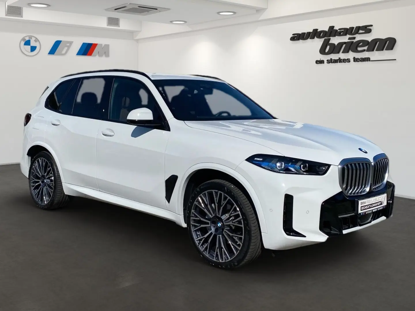 X5 xDrive30d M Sportpaket Gestiksteuerung DAB