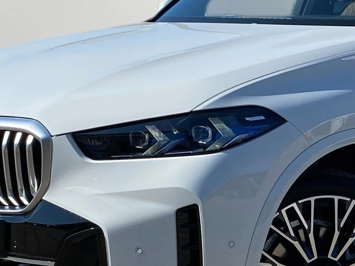 X5 xDrive30d M Sportpaket Gestiksteuerung DAB