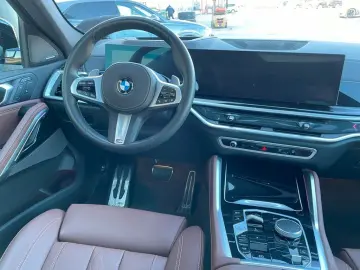 X6 xDrive40d/Pano/22