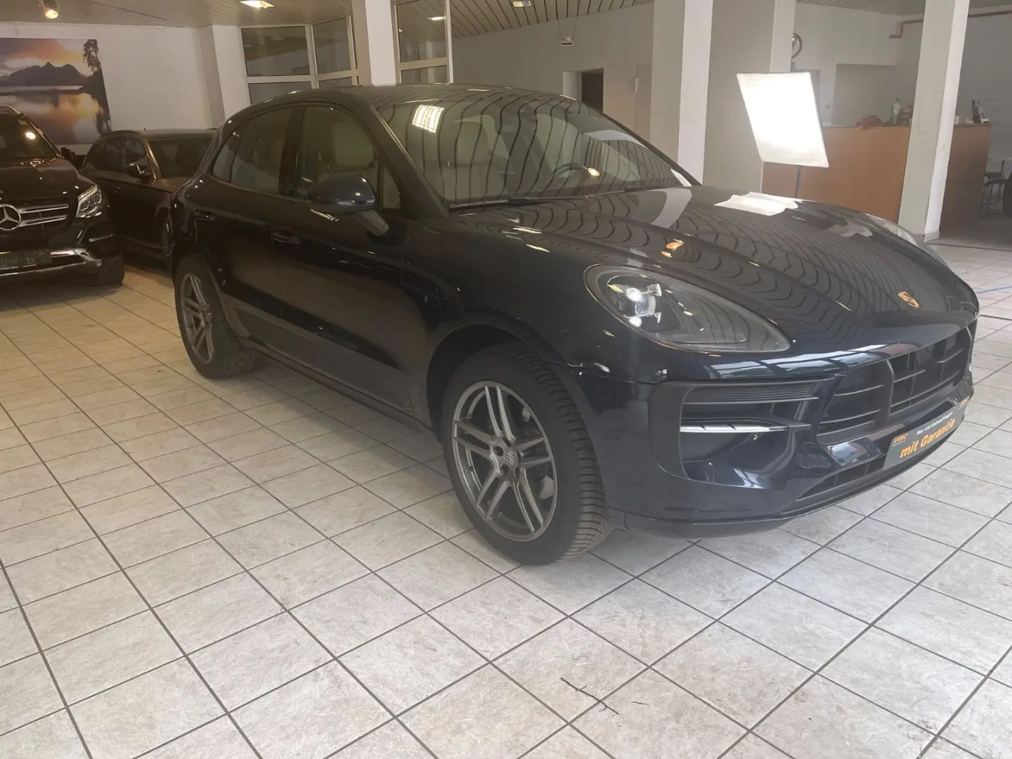 Macan Basis