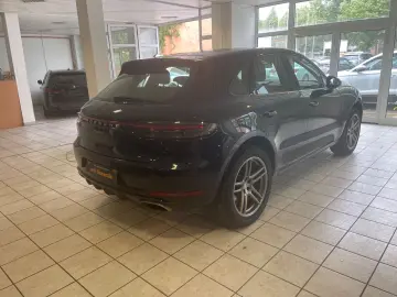 Macan Basis