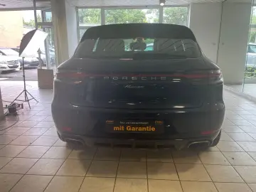 Macan Basis