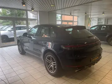 Macan Basis