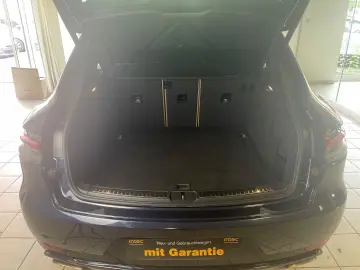 Macan Basis