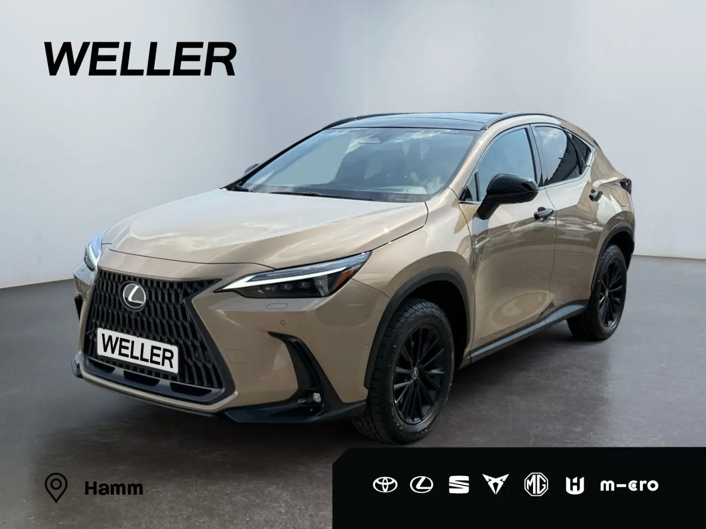 NX 350h E-FOUR Overtrail *LED*Pano*360*HUD*Navi*
