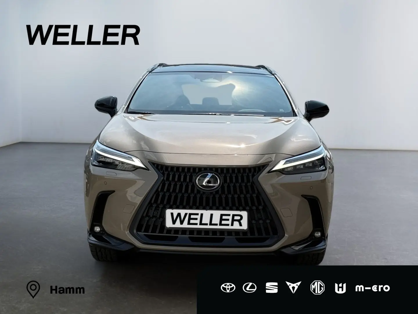 NX 350h E-FOUR Overtrail *LED*Pano*360*HUD*Navi*