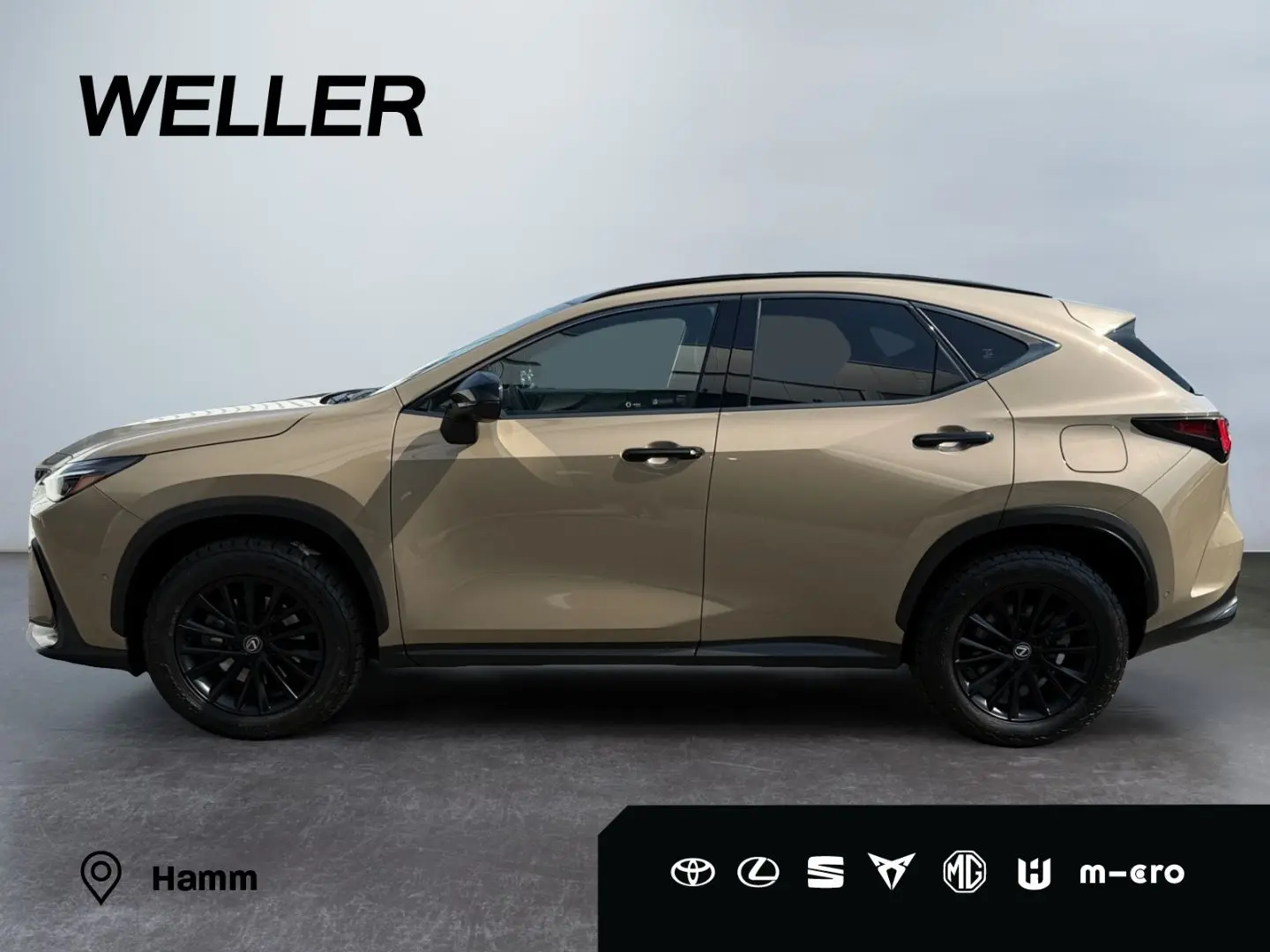 NX 350h E-FOUR Overtrail *LED*Pano*360*HUD*Navi*