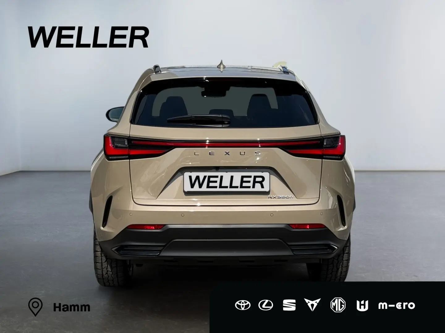 NX 350h E-FOUR Overtrail *LED*Pano*360*HUD*Navi*