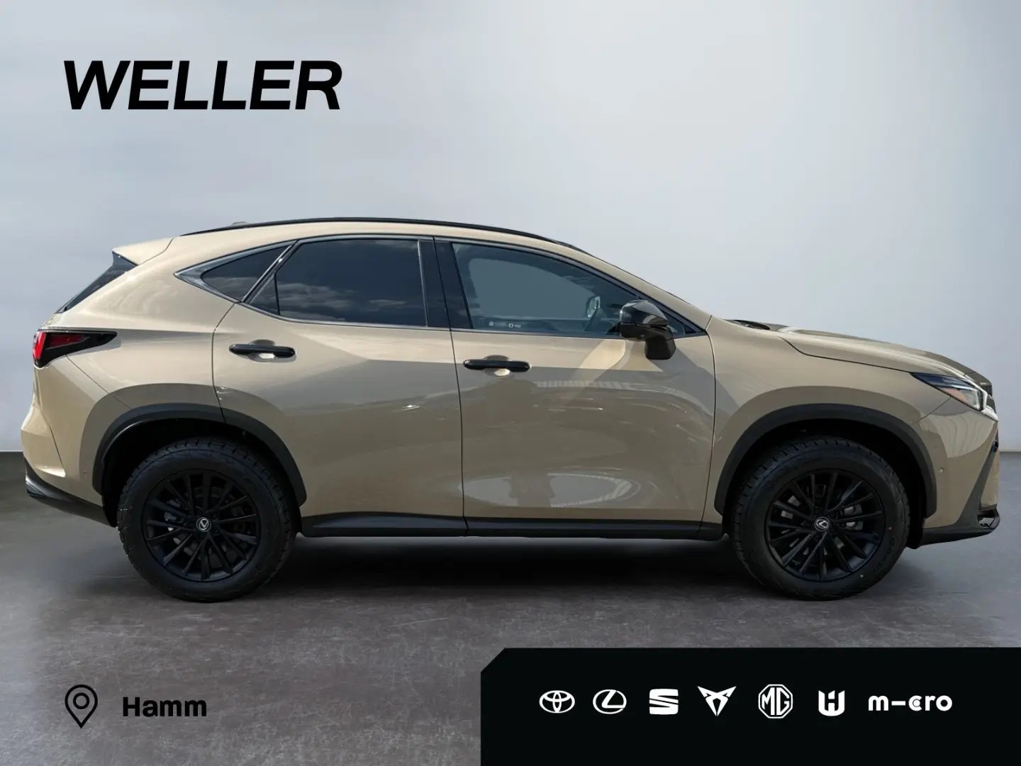 NX 350h E-FOUR Overtrail *LED*Pano*360*HUD*Navi*