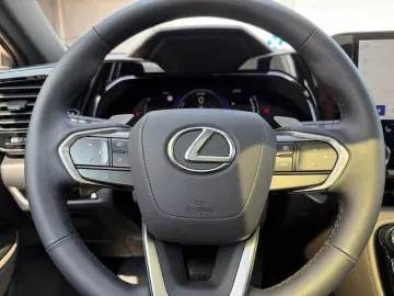 NX 350h E-FOUR Overtrail *LED*Pano*360*HUD*Navi*