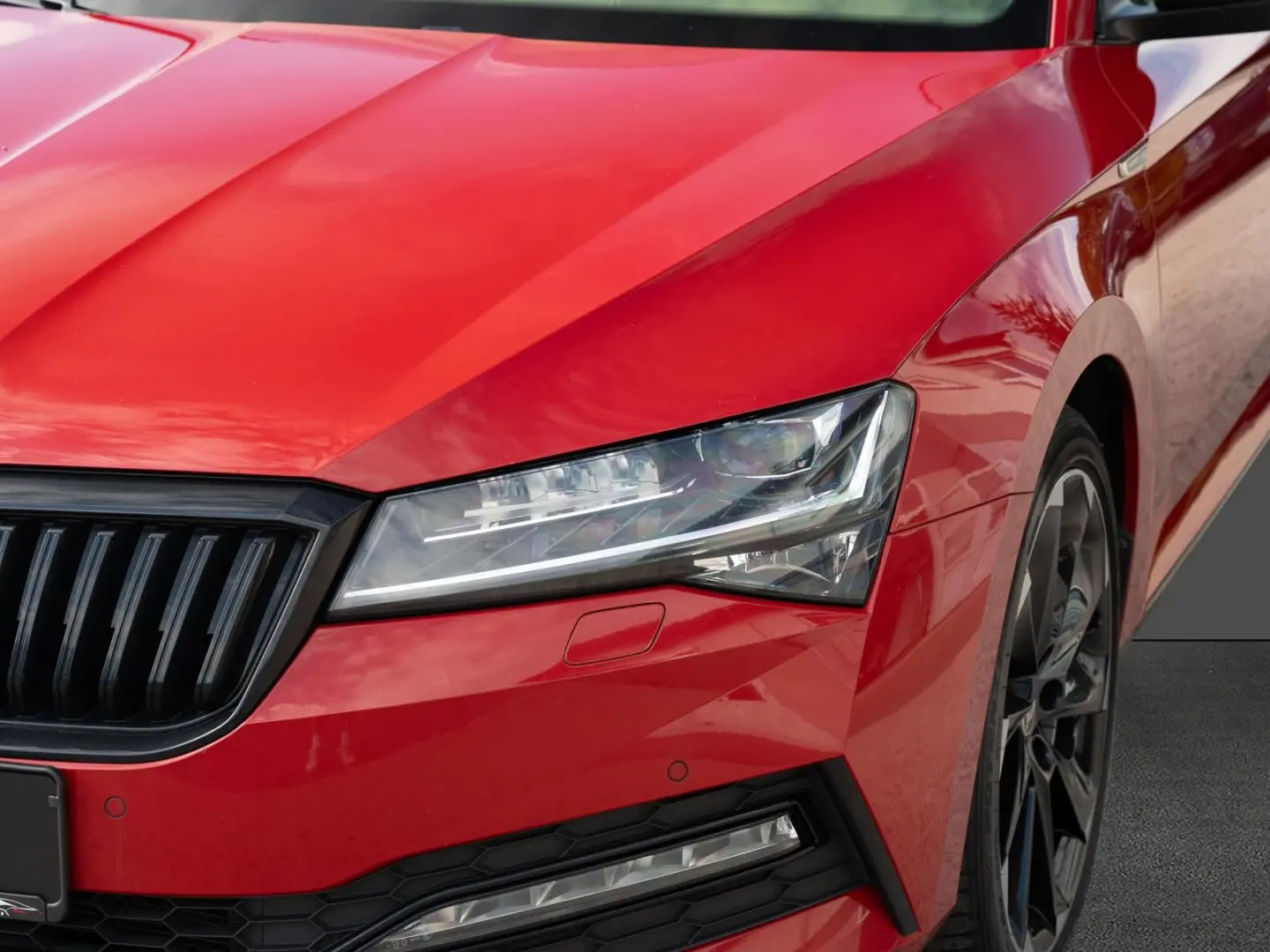 Superb Sportline DCC Dark Carbon 19