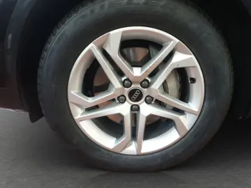 Q5 50 TFSI e quattro advanced*Navi*LED*Alu*PDC*P