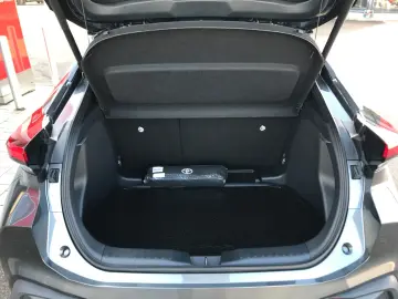 C-HR 1.8 Hybrid Team Deutschland
