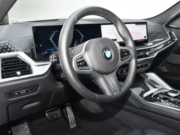 X6 xDrive30d M Sport Pro 22Zoll AHK Pano ACC 360