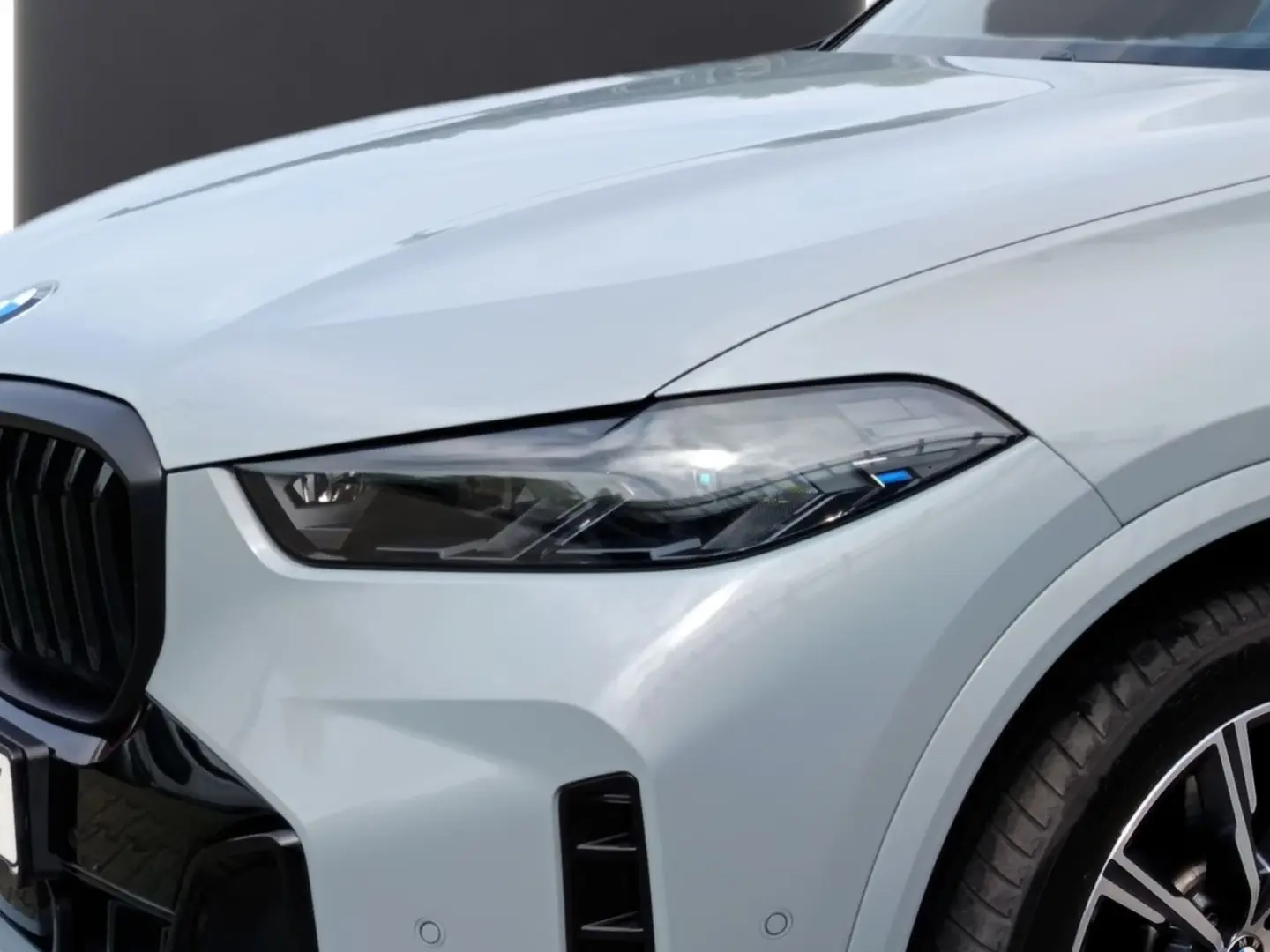 X5 xDrive30d M SPORTPAKET PRO+ANH.KUPPLUNG+ICONI