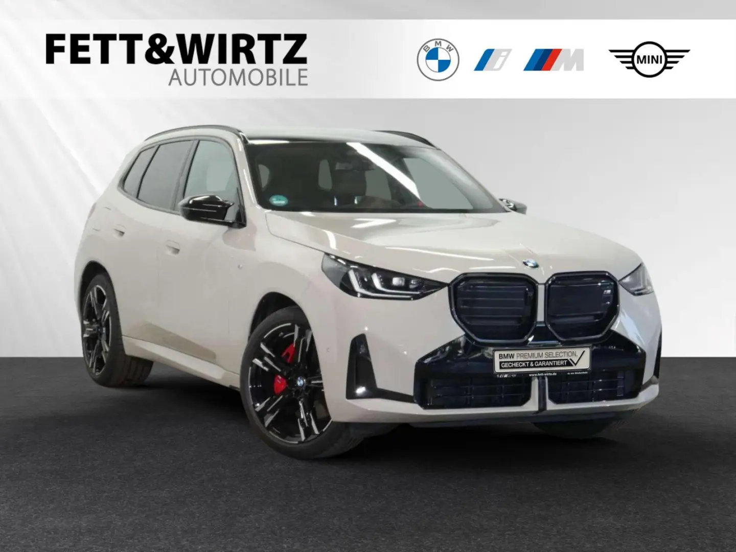 X3 M50 xDrive *Dune Grey*|AHK|Pano|21