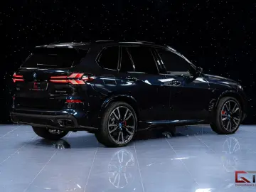 X5 xDrive50e M-Sport VAT Travel Pano 22