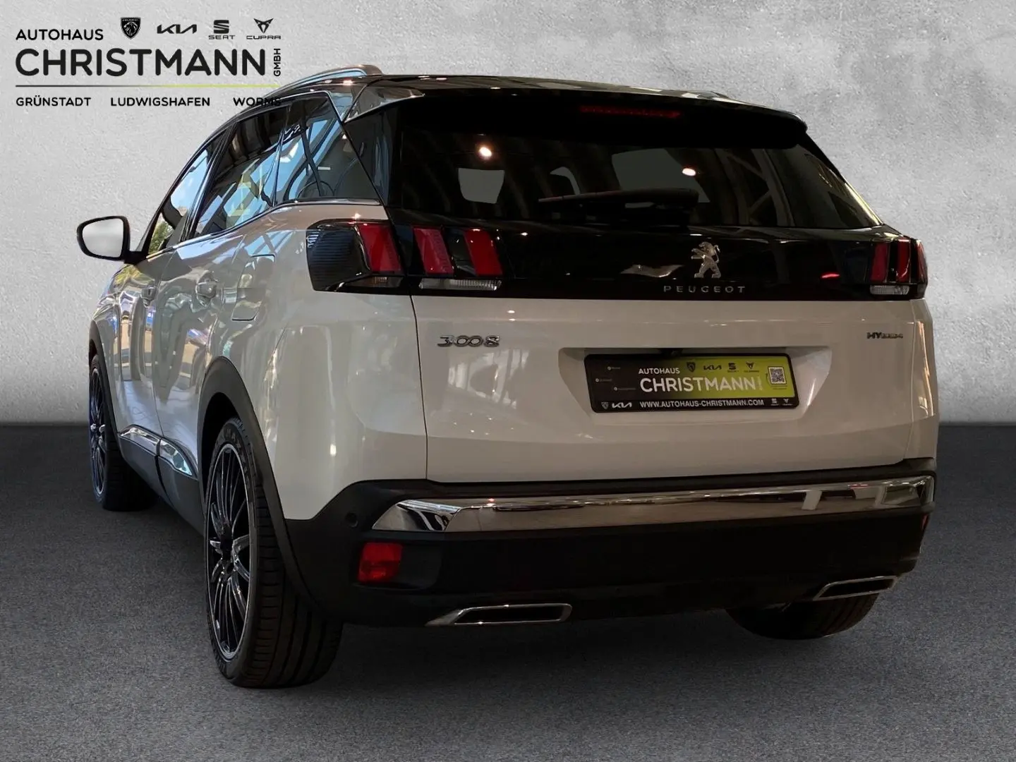 3008 Hybrid4 300 GT 1.6 Plug-In EU6d Panorama Na