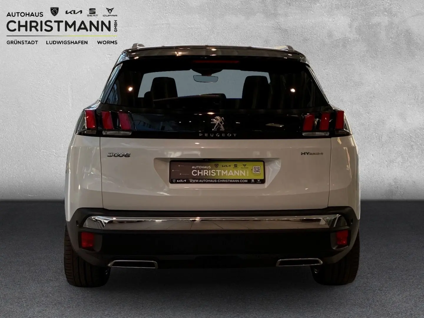 3008 Hybrid4 300 GT 1.6 Plug-In EU6d Panorama Na