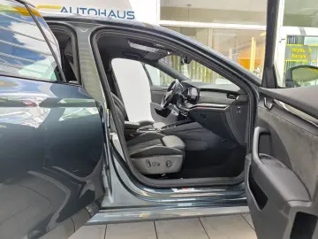 Octavia Limo RS Plus 4x4 Standheizung Canton