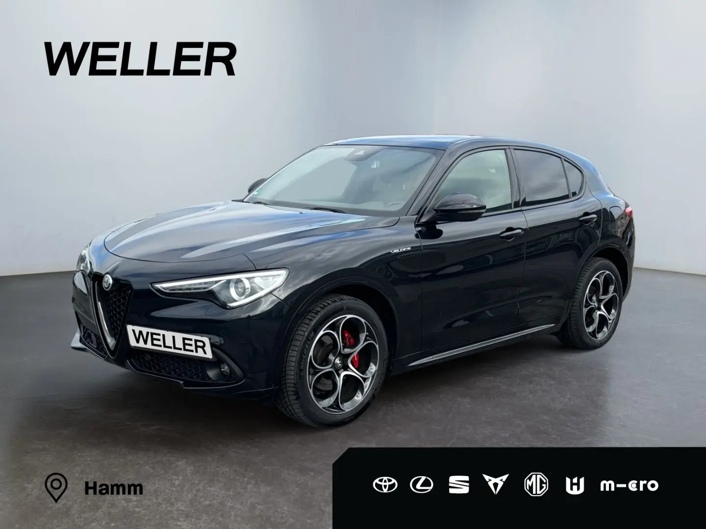 Stelvio 2.2 Diesel Q4 Veloce *Pano*Navi*Premium*