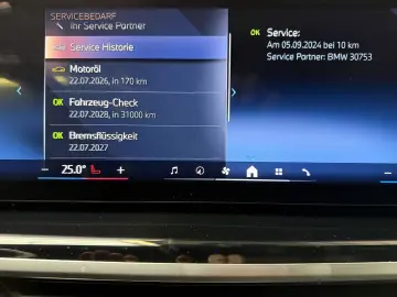 X5 30 d xDr. M Sport/PANO/HARM.KARDON/ICONIC