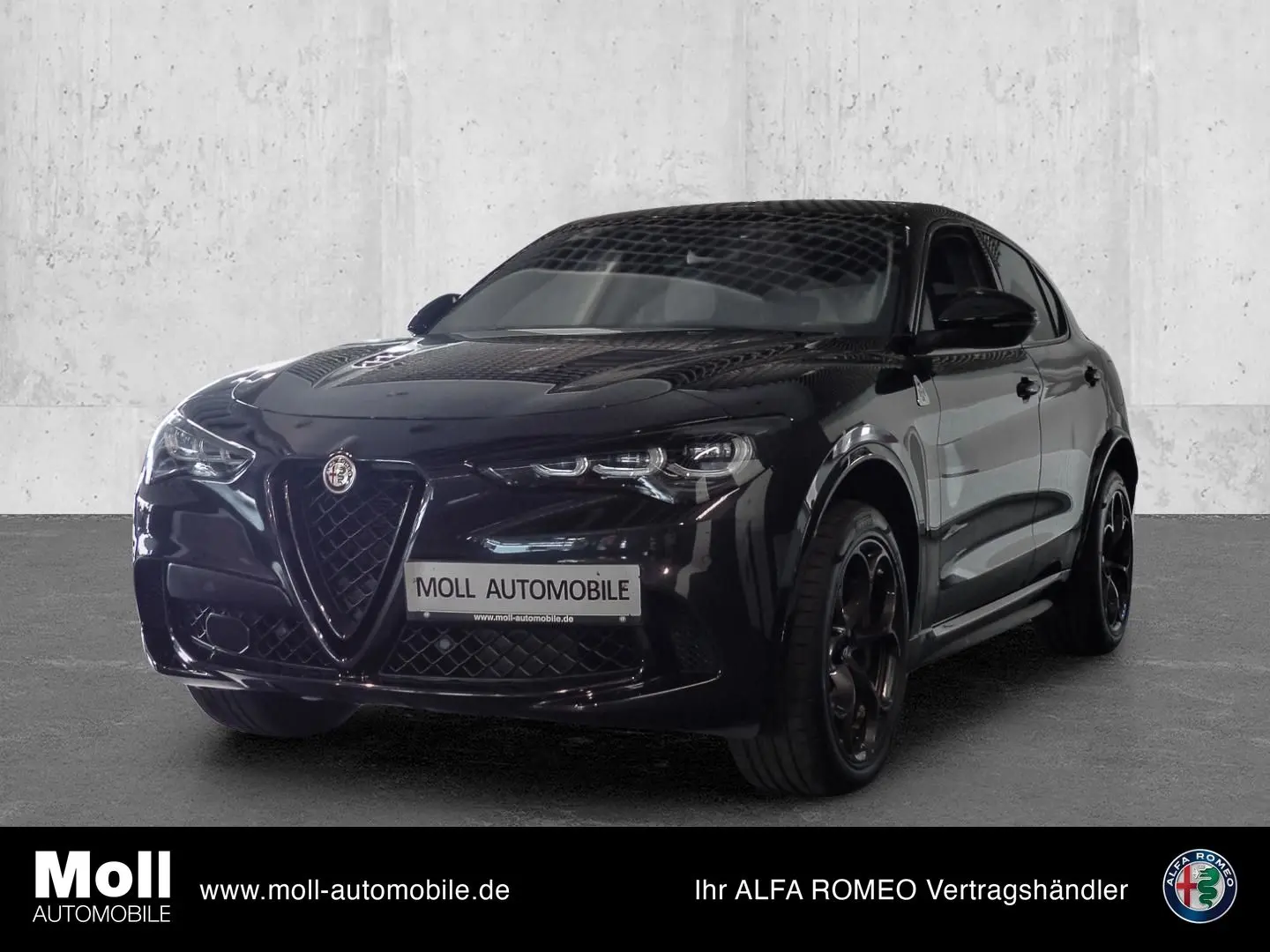 Stelvio Quadrifoglio Q4 Navi Leder Digitales Coc