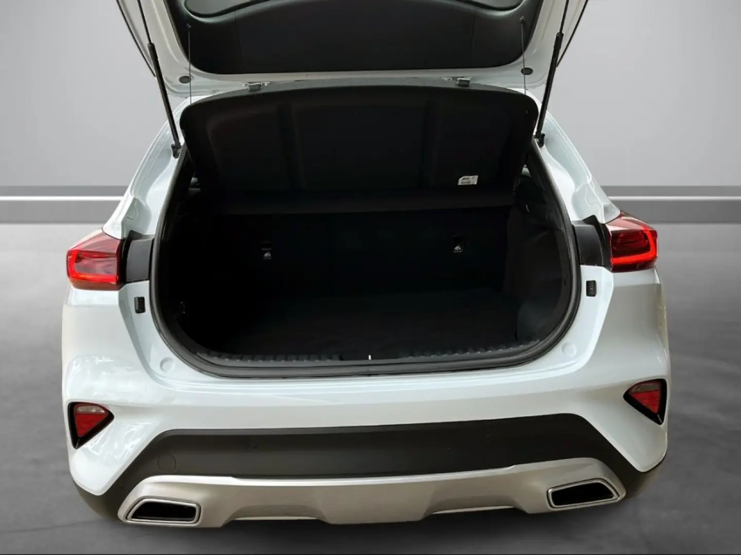 XCeed Vision Plug-in Hybrid 1.6 Navi LED Apple C