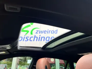 X6 xDrive 30 d M-Sportpaket AHK/Standheizung/SSD