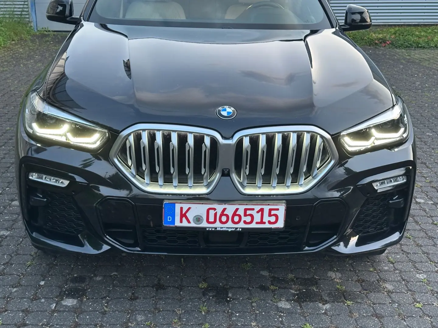 X6 xDrive30d, M Sport, Pano, Luft, Iconic Glow