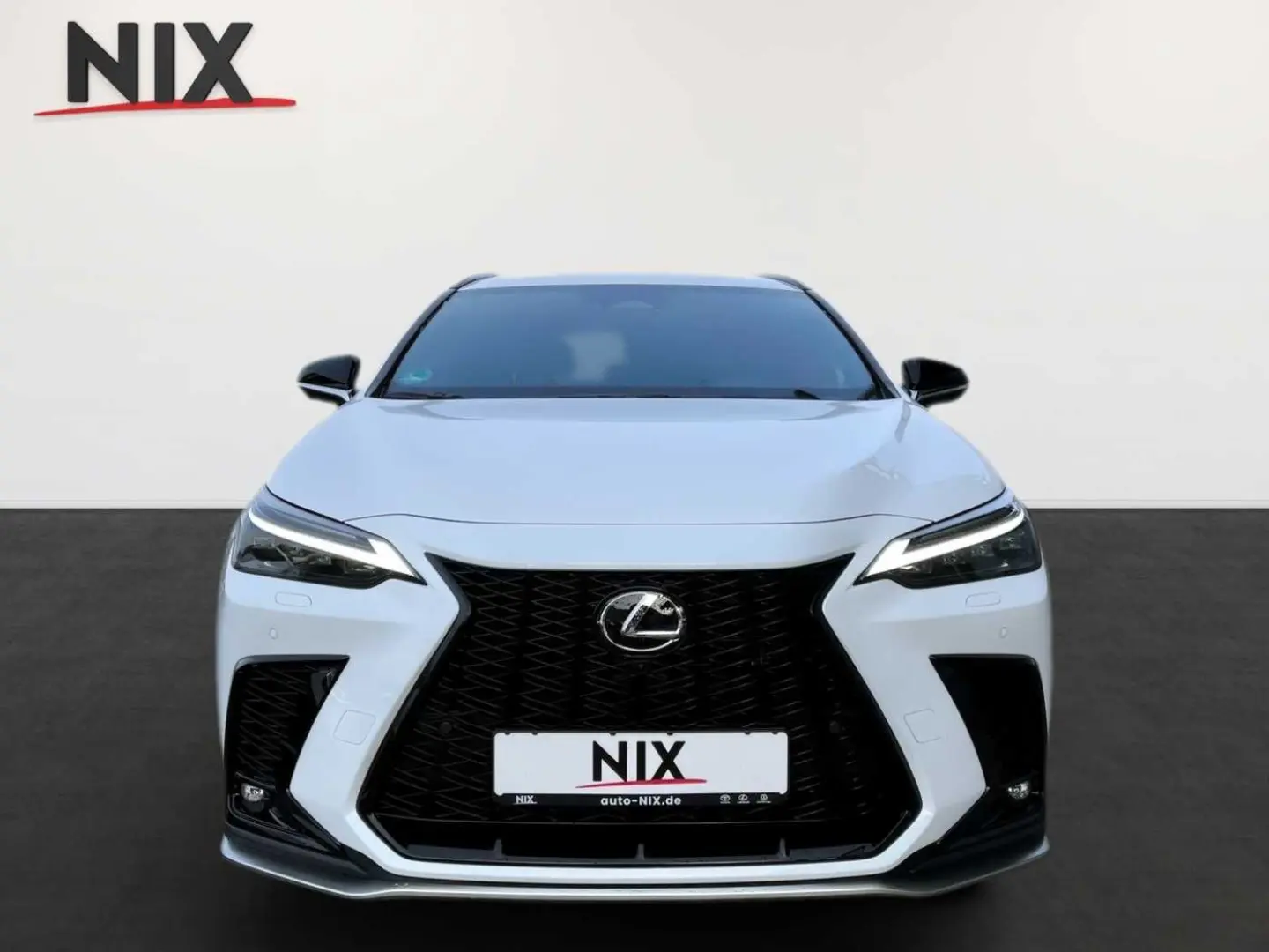 NX 450h+ E-FOUR F SPORT