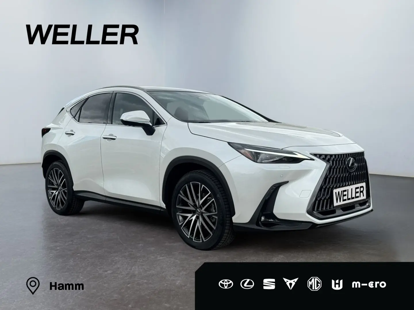 NX 350h E-FOUR Luxury Line *HUD*Pano*360*4x SHZ*