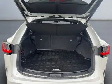NX 350h E-FOUR Luxury Line *HUD*Pano*360*4x SHZ*