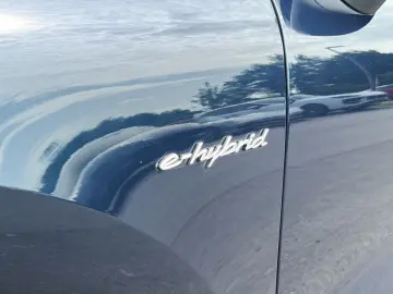 Cayenne E-Hybrid | Surround View | Panorama |