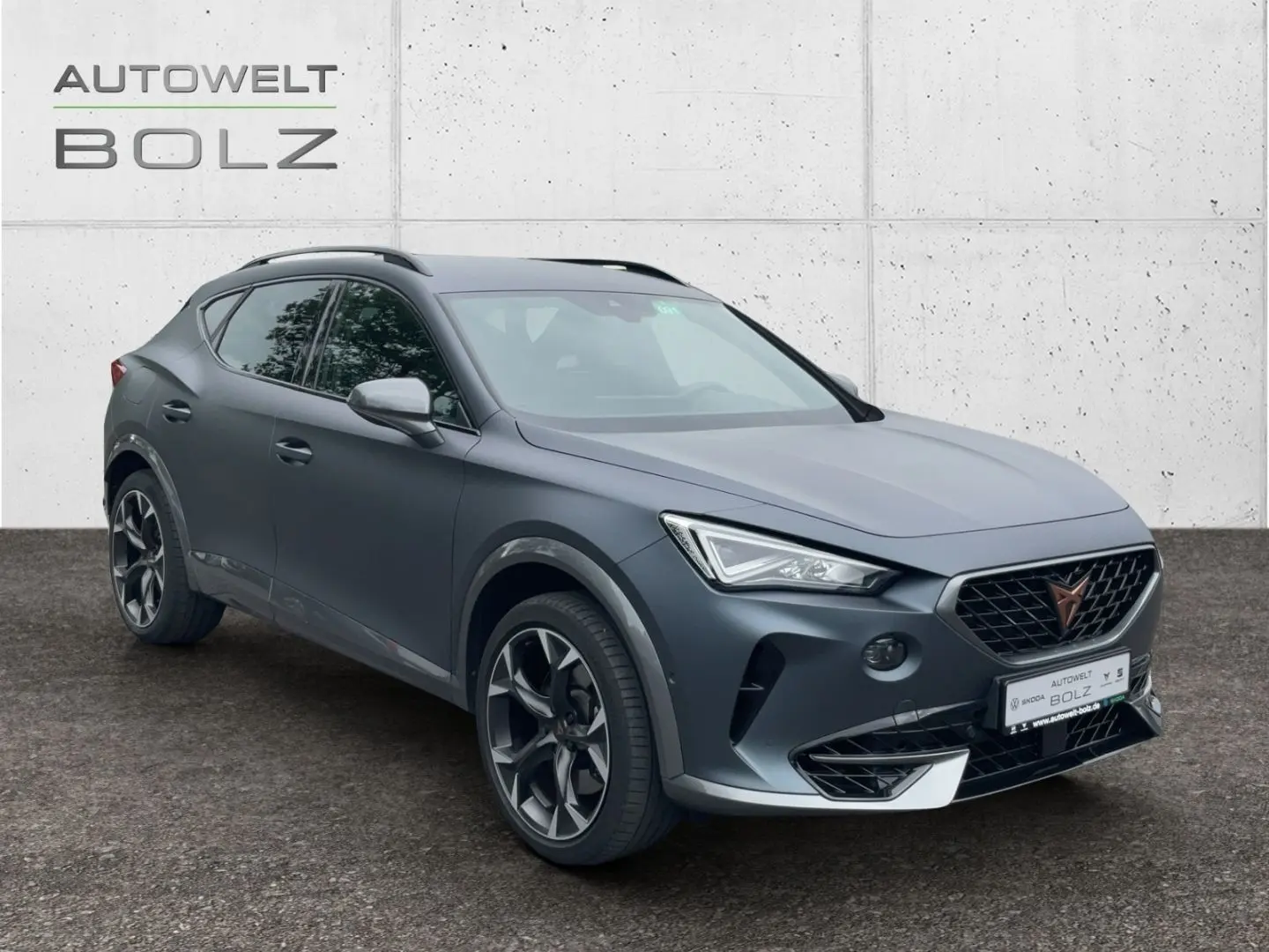 Formentor VZ 4Drive 2.0 TSI AHK Navi Lederpaket 