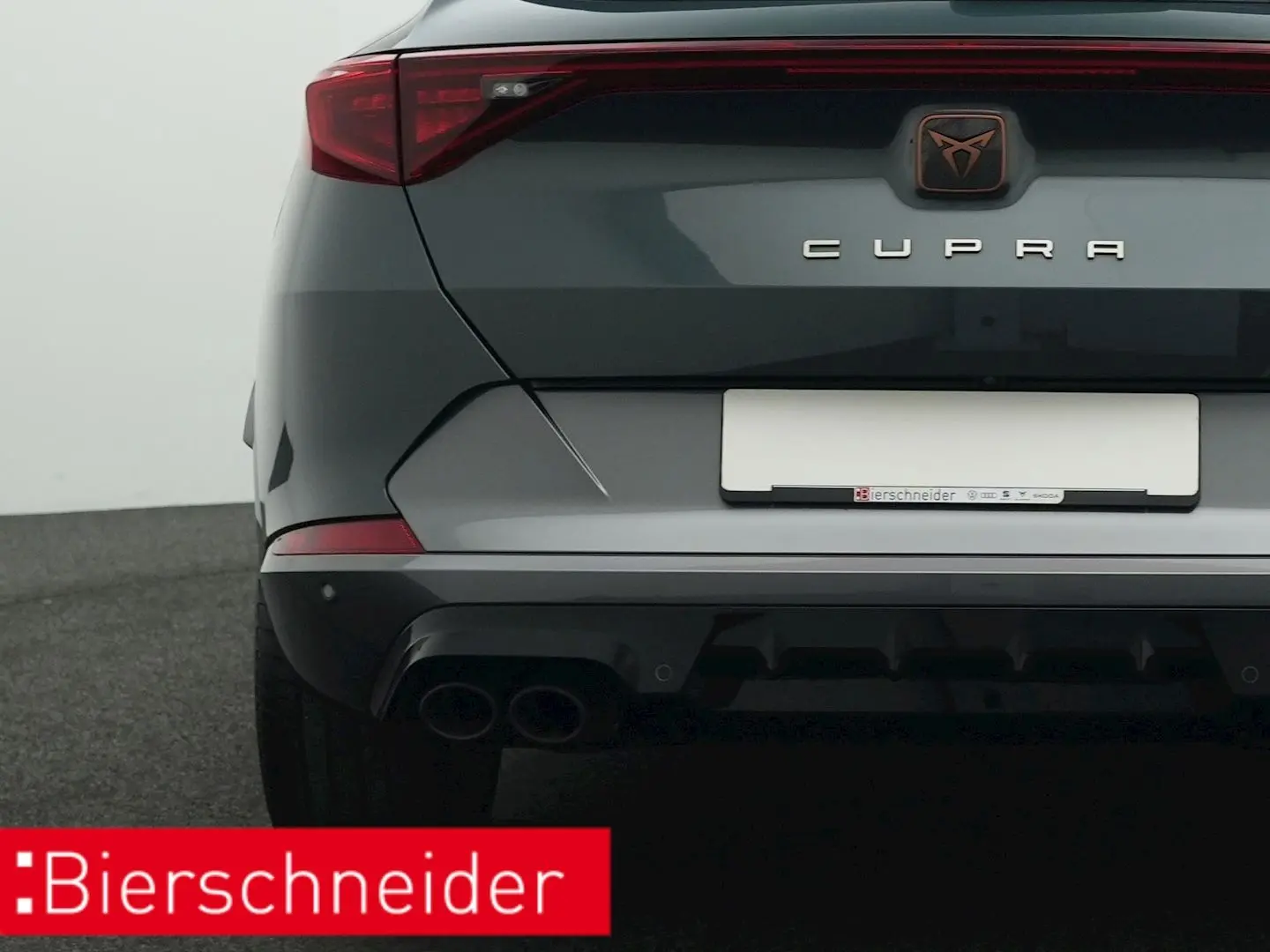 Formentor 2.0 TSI DSG 4Drive VZ AHK PANO KAMERA