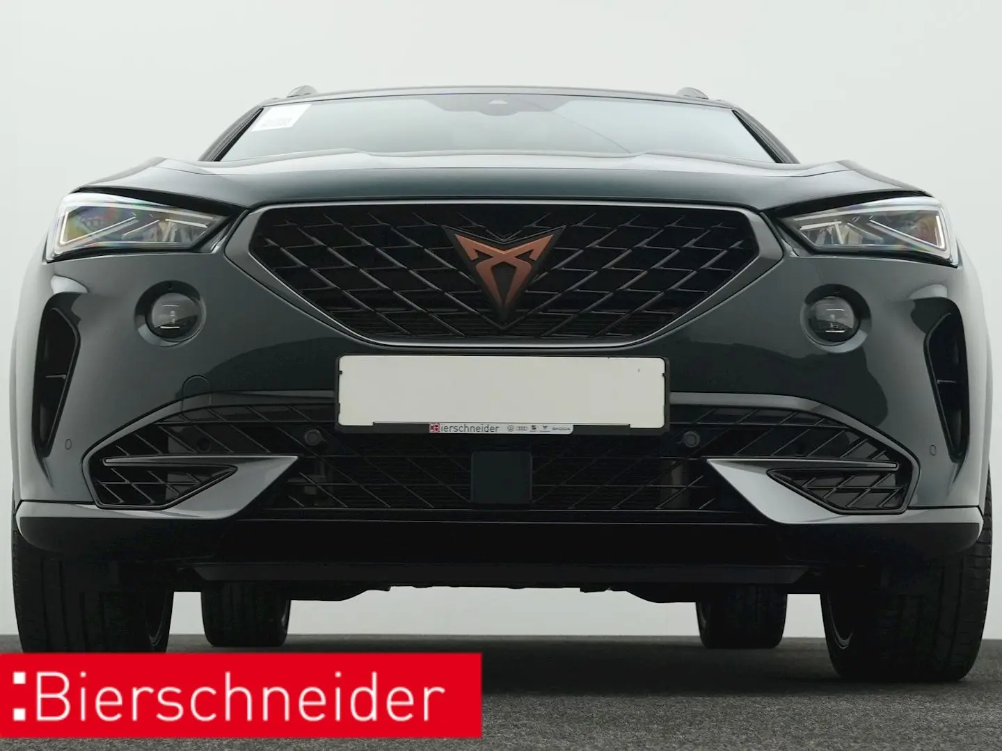 Formentor 2.0 TSI DSG 4Drive VZ AHK PANO KAMERA