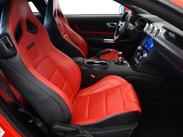 Mustang