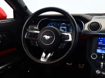 Mustang