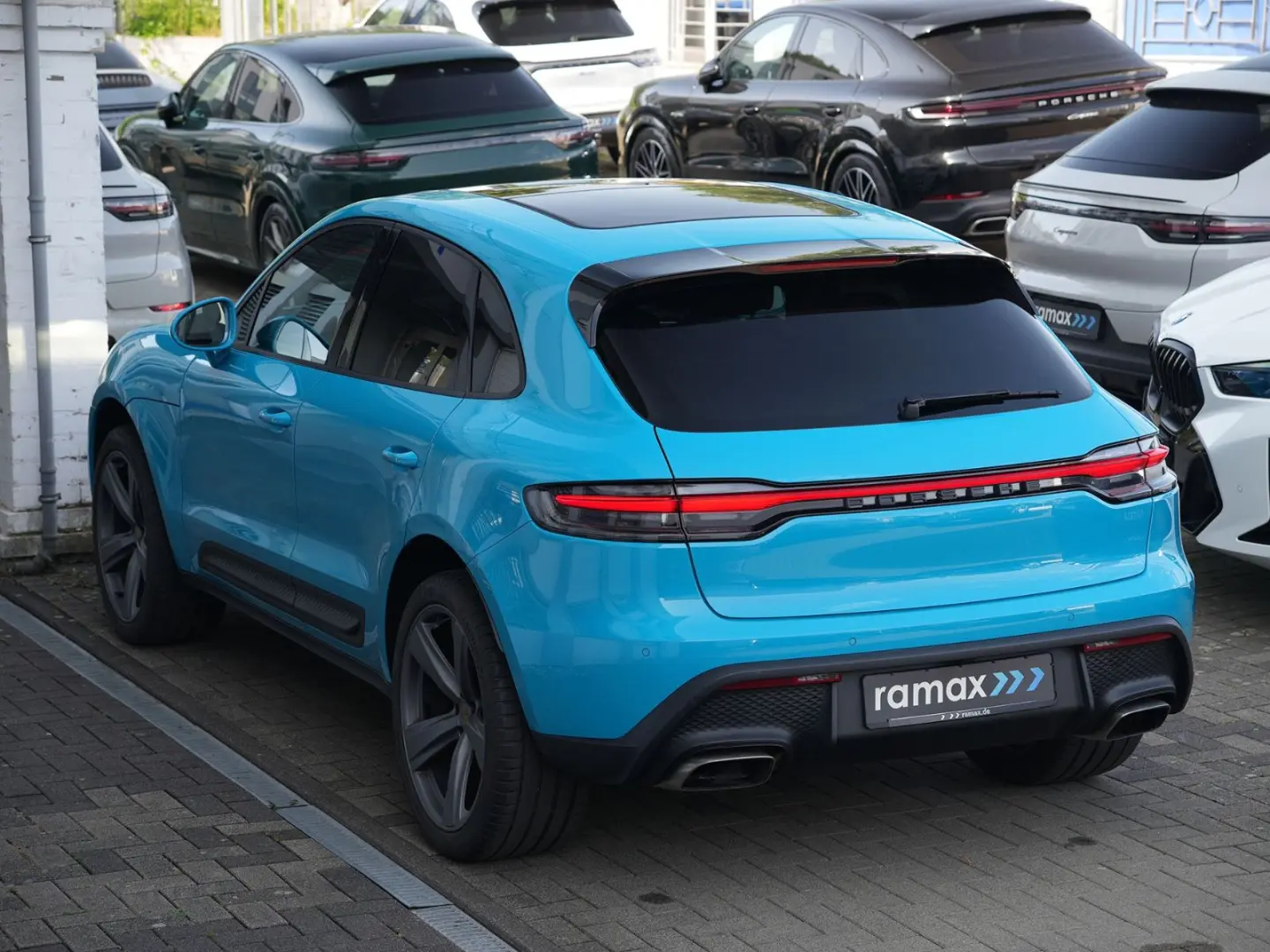 MACAN  PANO-KAMERA-21