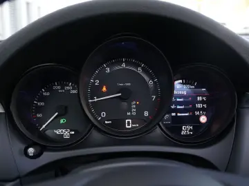 MACAN  PANO-KAMERA-21