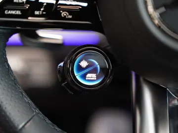 GLE 53 AMG 4M+ Hybrid 0,5% Kreuzspeiche Massage